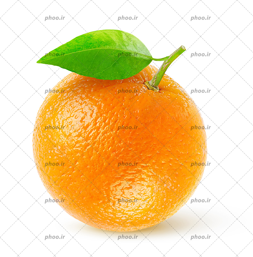 عکس با کیفیت یک عدد پرتقال خوش رنگ و سالم همراه با برگ در پس زمینه سفید