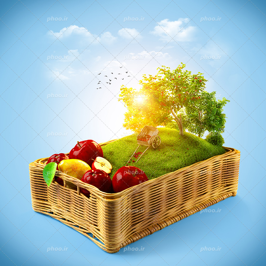 عکس با کیفیت سیب سرخ و گلابی در کنار درخت و چمن داخل سبد چوبی و بک گراند آسمان آبی