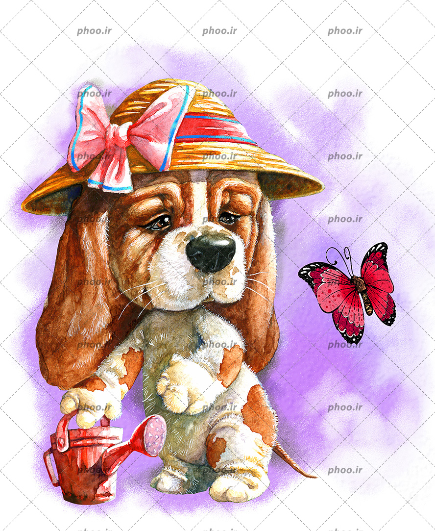 عکس با کیفیت سگ سنت برنارد با کلاه زیبا و آبپاش در دست و پروانه زیبا در حال پرواز