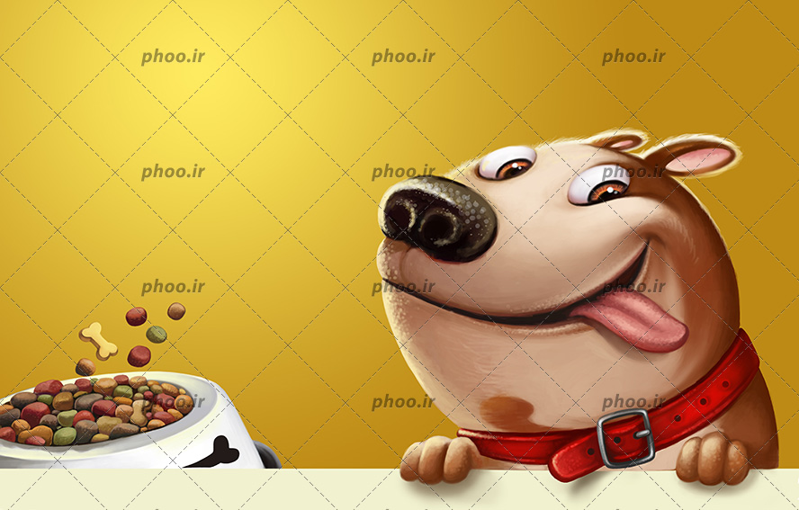 عکس با کیفیت غذای سگ داخل ظرف مخصوص و سگ ایستاده در کنار ظرف غذا و پس زمینه به رنگ زرد