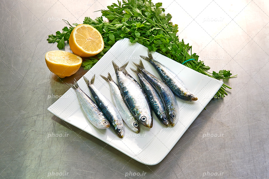 عکس با کیفیت ماهی های کیلکا در ظرف سفید در کنار جعفری و لیمو ترش ها