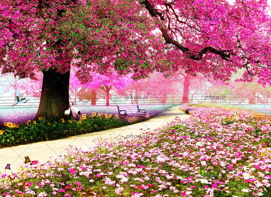 عکس با کیفیت پاک زیبا با گل های زیبا به رنگ صورتی و و درخت بزرگ با برگ های صورتی