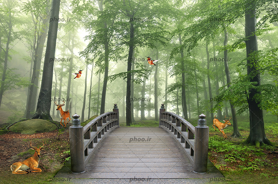 عکس با کیفیت پل سنگی زیبا در جنگل و سه گوزن در جنگل سرسبز و دو مرغ مگس خوار در حال پرواز در جنگل