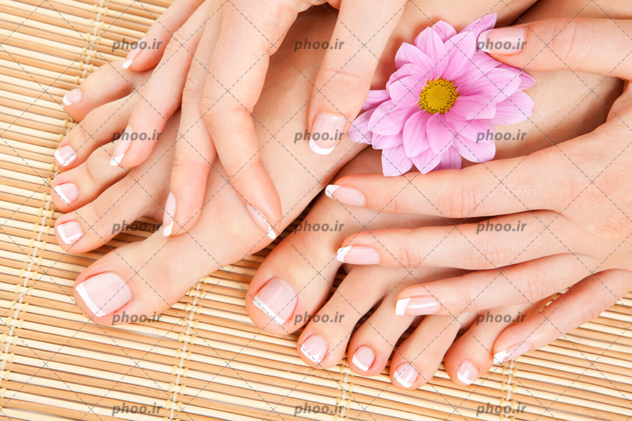 عکس با کیفیت زن با ناخن های فرنچ شده ی دست و پا و گل بنفش بر روی پاهایش