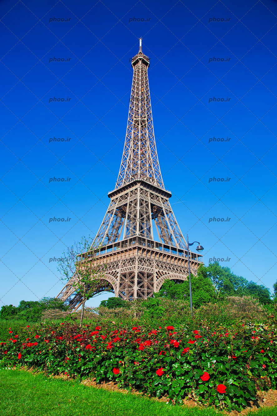 عکس برج ایفل پاریس فرانسه کنار گل ها