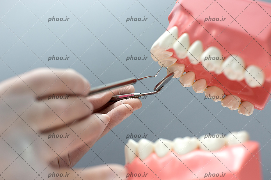 عکس با کیفیت پزشک در حال برسی دندان های مصنوعی با کمک آینه مقعر