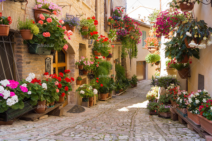 عکس با کیفیت کوچه باریک با خانه های تزئین شده با گلدان های زیبا و گل های رنگارنگ