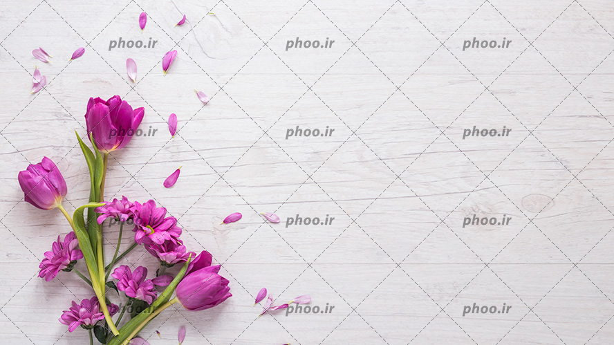 عکس با کیفیت گل های لاله و گل های ژربرا به رنگ بنفش در کنار یکدیگر بر روی میز چوبی