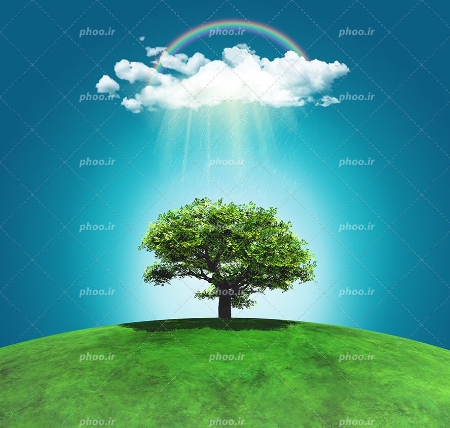 عکس با کیفیت تک درخت سرسبز قرار گرفته بر روی زمین پوشیده از چمن و ابر و رنگین کمان در آسمان در بالای درخت
