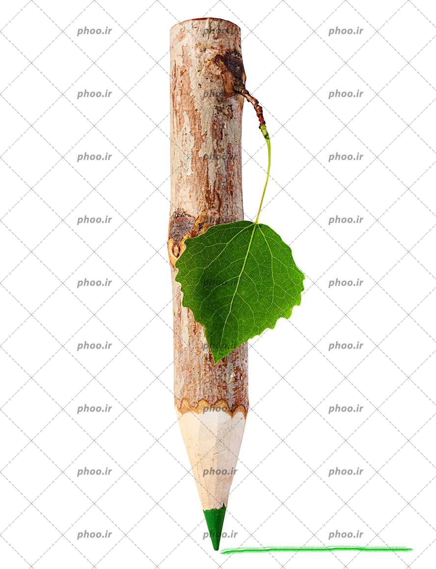 عکس با کیفیت مداد رنگی به رنگ سبز با بدنه ی شبیه به تنه ی درخت در حال کشیدن نقاشی و برگ سبز آویز شده از شاخه درخت
