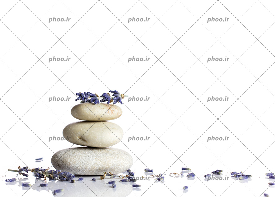 عکس سنگ های آبگرم و گل خشک اسطوخودوس در پس زمینه سفید
