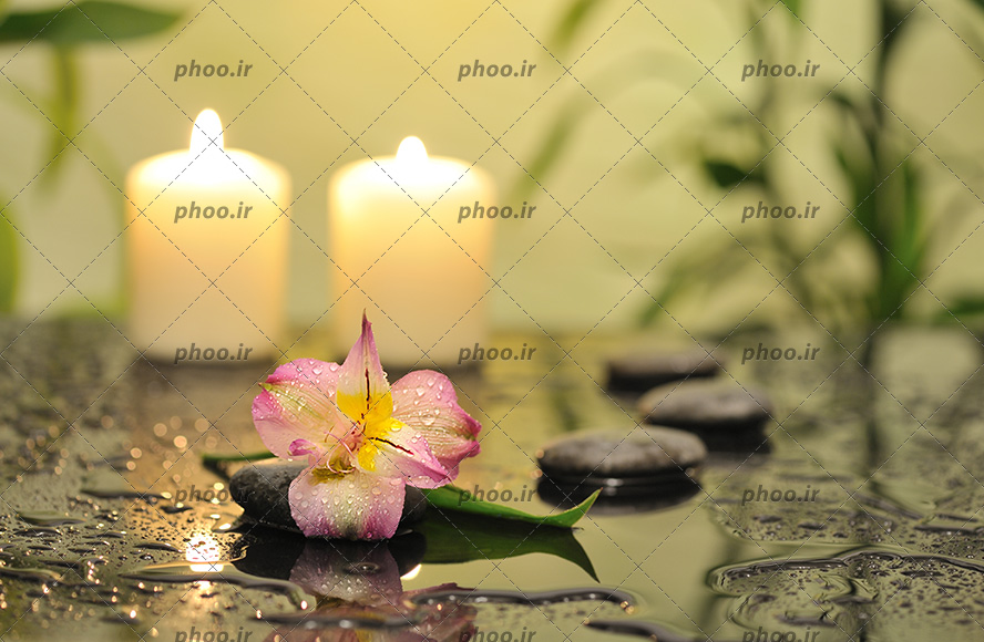 عکس سنگ ها و شمع و گل در میان قطرات آب
