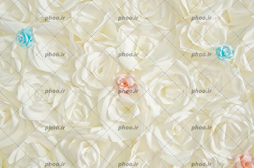 عکس با کیفیت گل های رز کوچک با رنگ های مختلف بر روی گل های رز سفید