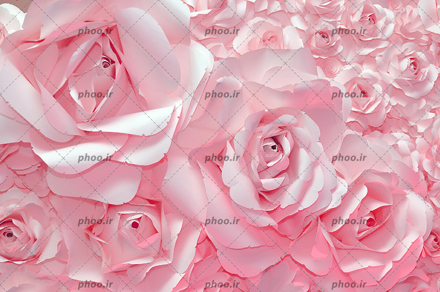 عکس با کیفیت دسته هایی از گل های رز صورتی در کنار یکدیگر به صورت برجسته مناسب کاغذ دیواری و دیوارپوش ها