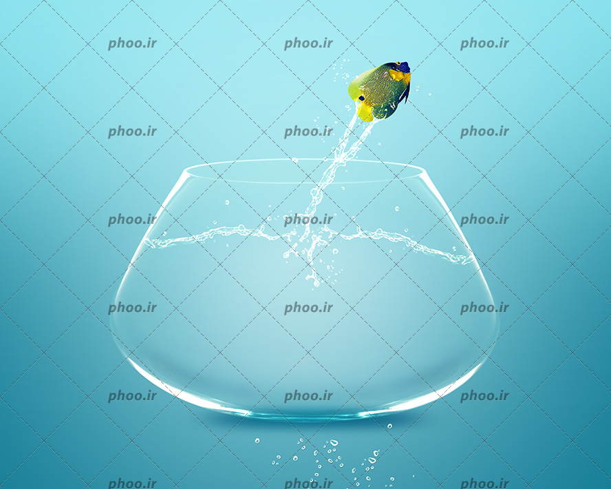 عکس زیبا ماهی زرد خال خالی در تنگ و پرش ماهی