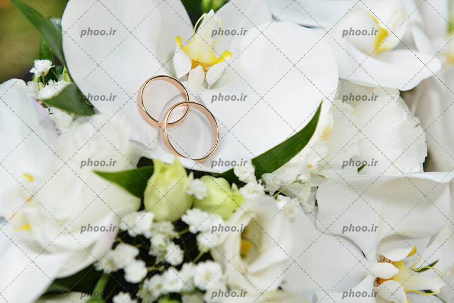 عکس حلقه های ازدواج روی هم کنار گل های سفید